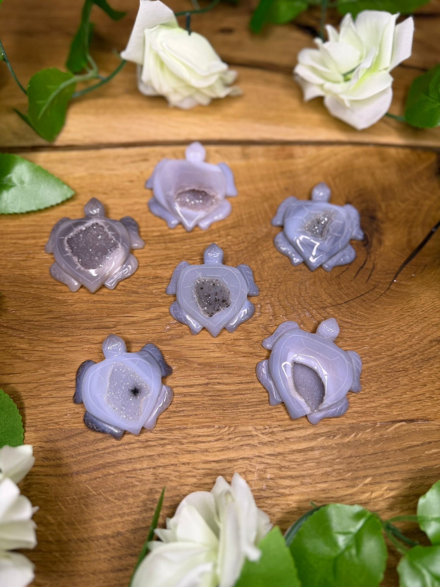 Druzy Achat Schildkröte