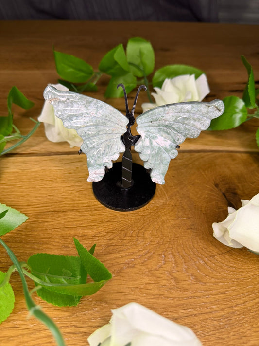 Moosachat Schmetterling